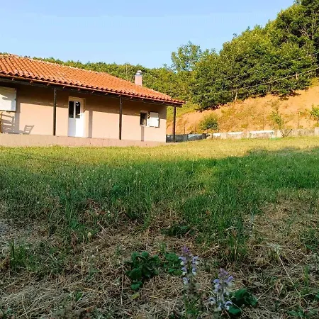 Billy's House