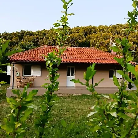 Vakantiehuis Billy's House *